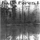 Hate Forest - The Curse